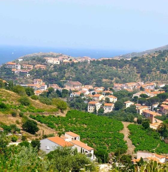 La Cigaliere En Cote Vermeille Latour-Bas-Elne ภายนอก รูปภาพ